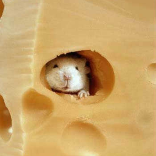 Cheese Factory