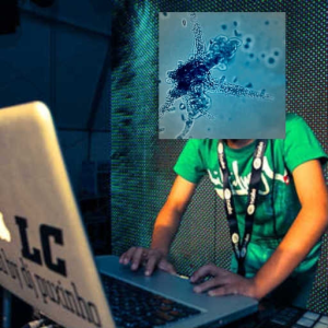 CHEKMAITWACK (dj ameebaz lejit rmx)