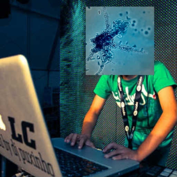 CHEKMAITWACK (dj ameebaz lejit rmx)