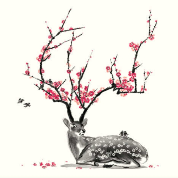 [cherry.blossoms]