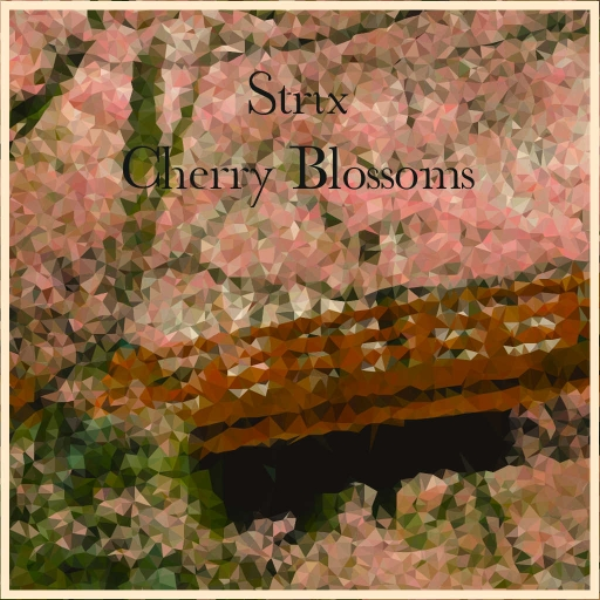 Cherry Blossoms