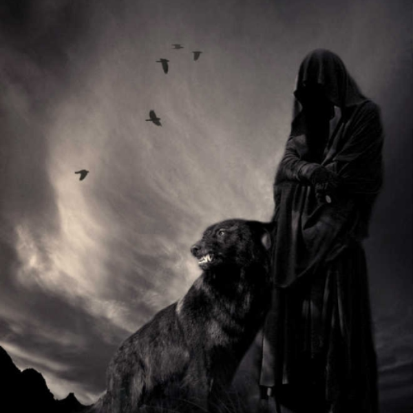 Children of the Night