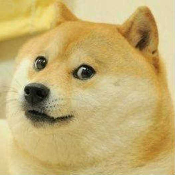 Chille Doge