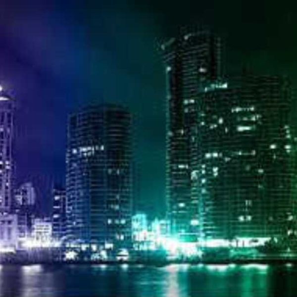 Momos - City Lights
