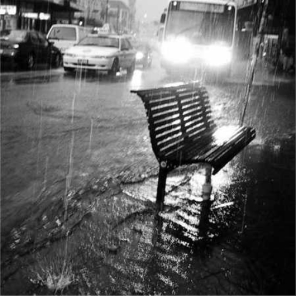 City Rain