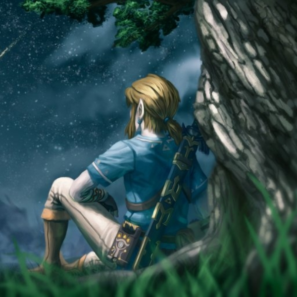 Lost Woods Zelda (Jerseyclub)