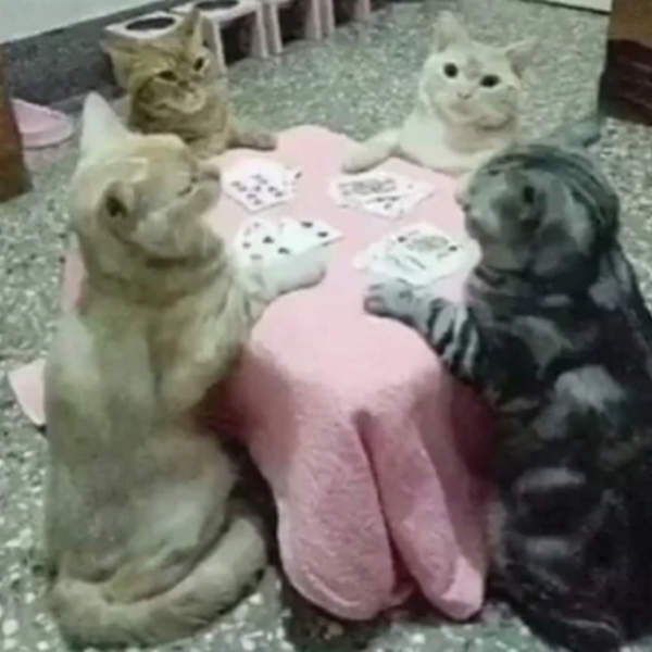 like yarn