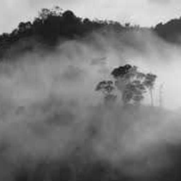 Cloak of Mist