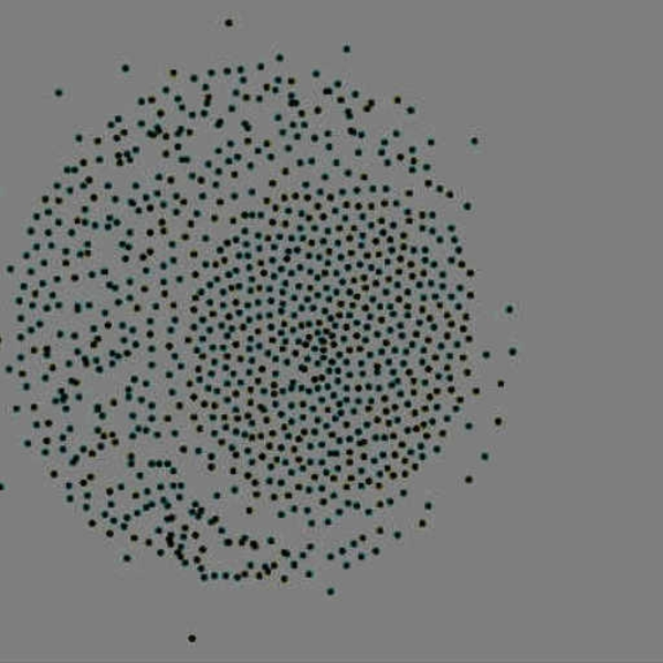 Cluster I