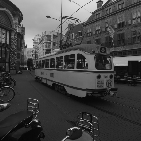 the hague