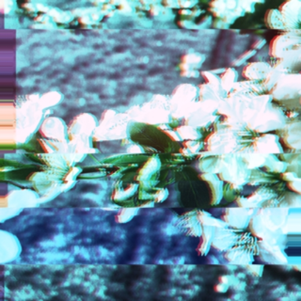 the soundtrack of life is white noise