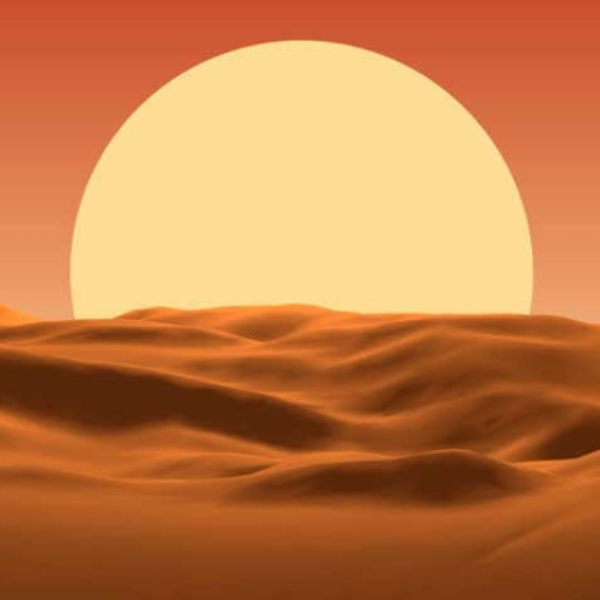 COJEY - Sinai
