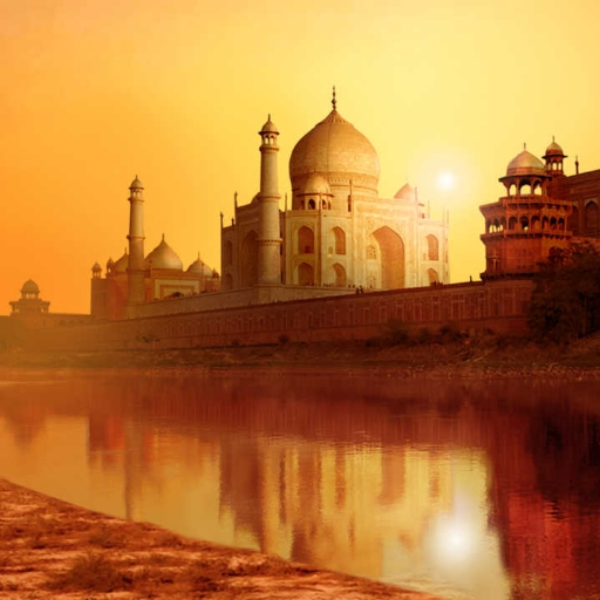 Cold-Blooded India