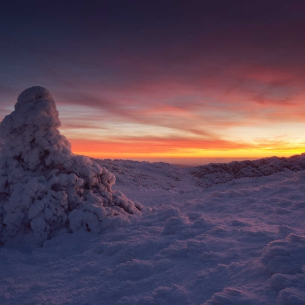 Cold Dusk