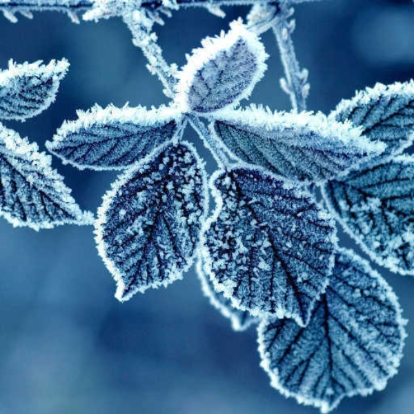 Cold Feeling In The Morning
