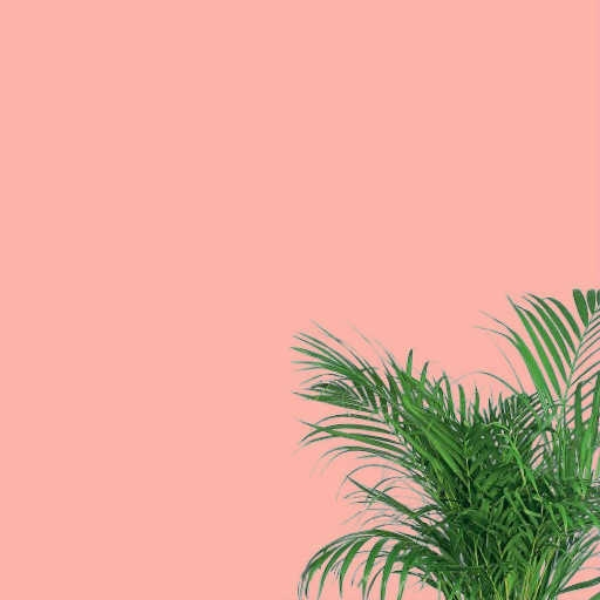 comf & cozy [Xeryph Tweaks]