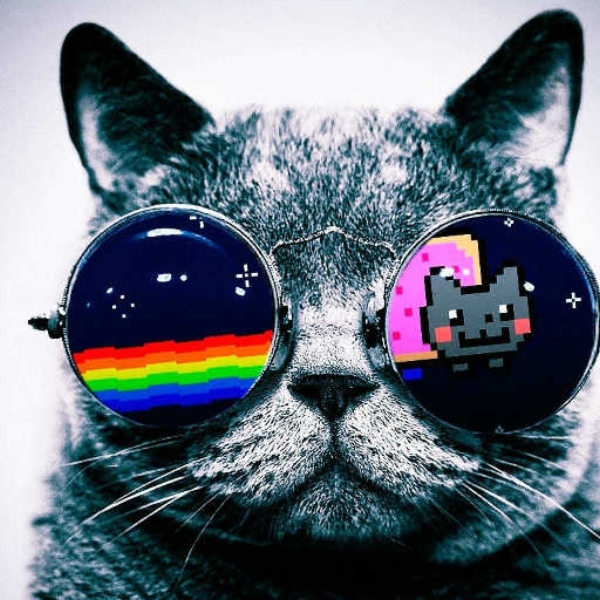Cool Beans