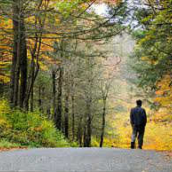 Country Stroll