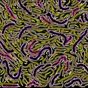 Cubrick