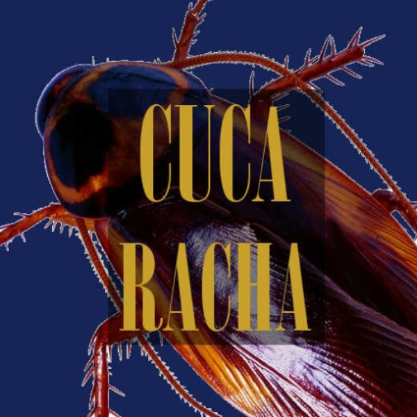 Cucaracha