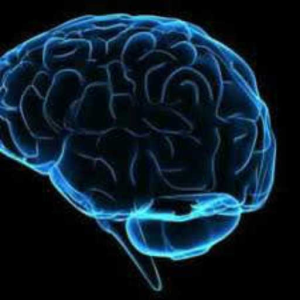 Cyber Brain