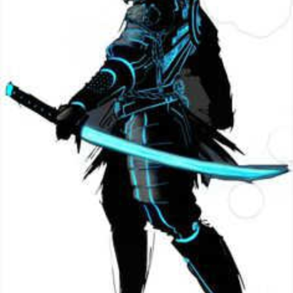 cyber samurai