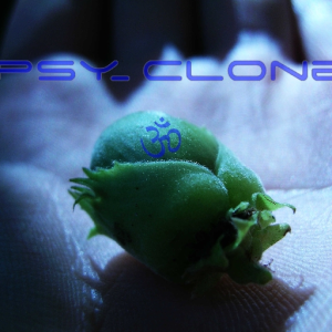 Cyber Tribe Genesis RmX