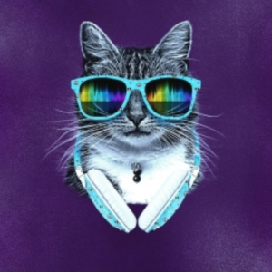 Catstep (Full Track)