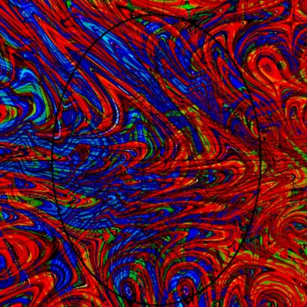 Evolute