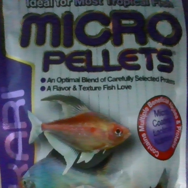 Fishy track  angler 52