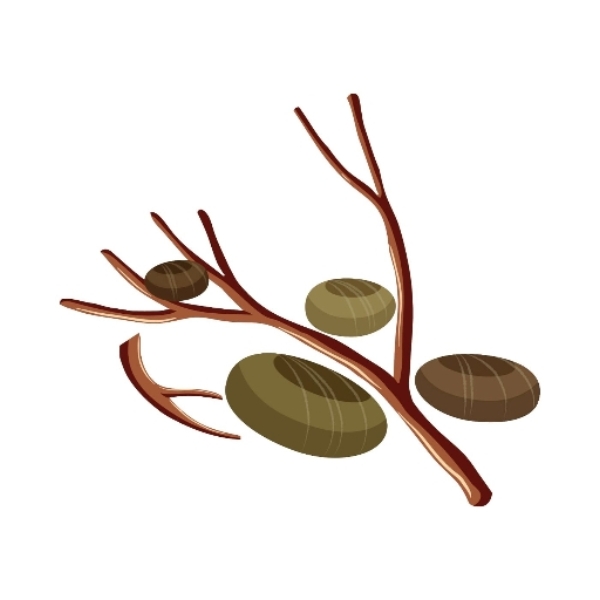 STICKS AND STONES