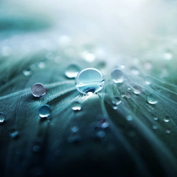 Dances With Droplets - KseeMix2014