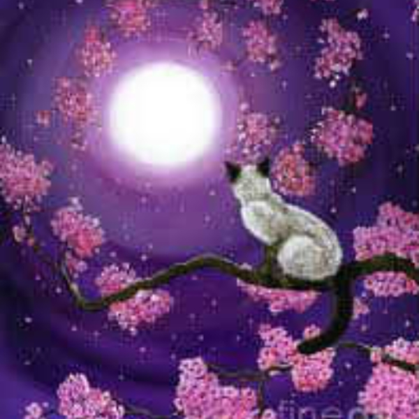 dancing petals