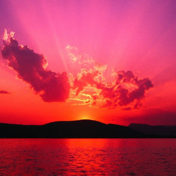 danyo live it up