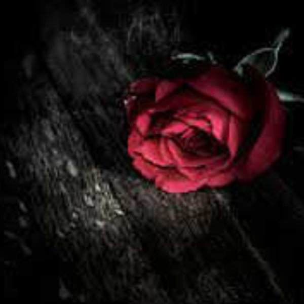 Dark Love