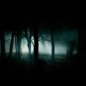 Dark Rising