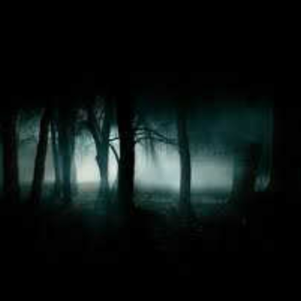 Dark Voice