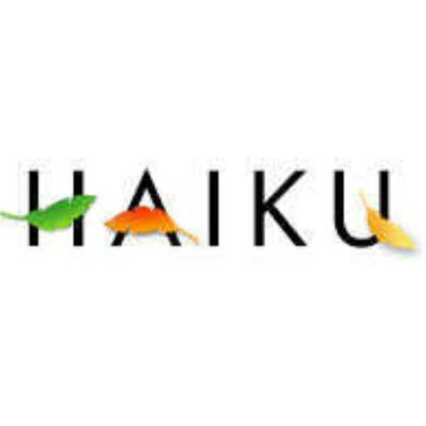 DarkDescendant & MiRΔi - Haiku