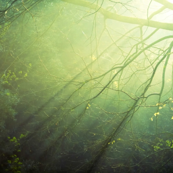 darklight mix