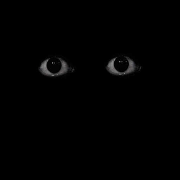 Darkness