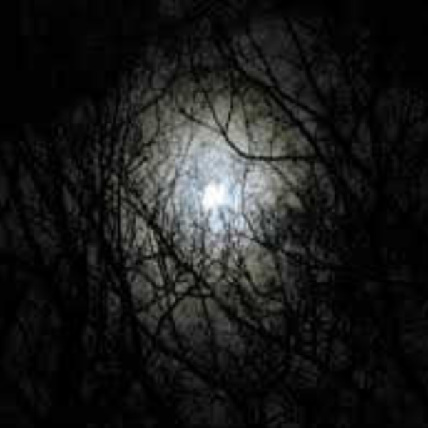Darkness
