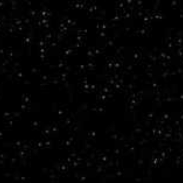 DarkSkyWatcher