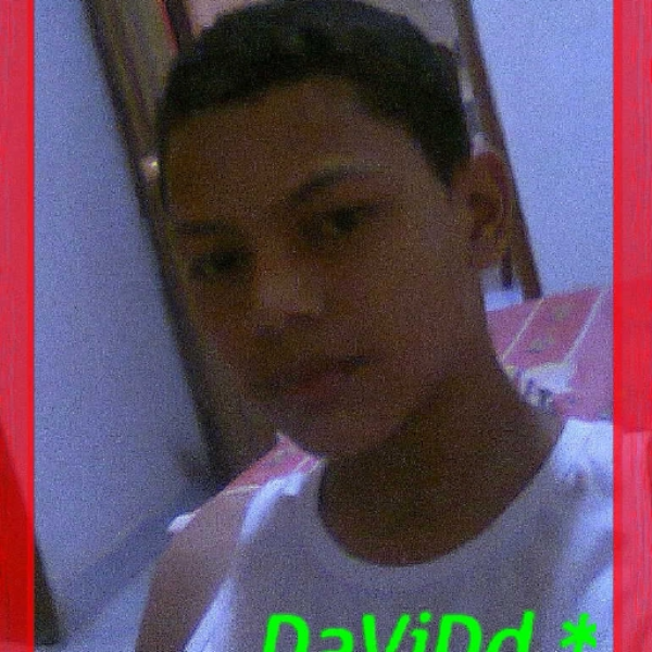 david