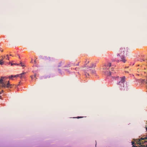 Dawn