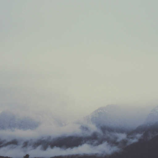 .dazed