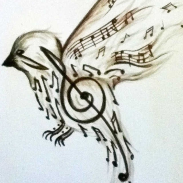 Dead Bird Notes
