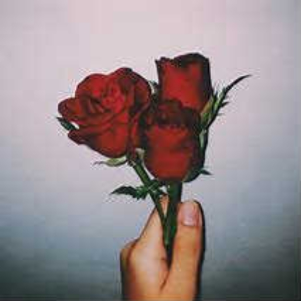 Dead Roses (prod.byBrayVer$$etti