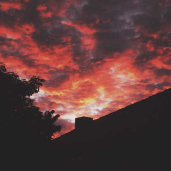 deathwish [snippet]