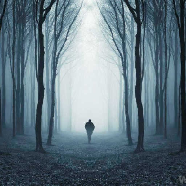 Deep Wood(s)