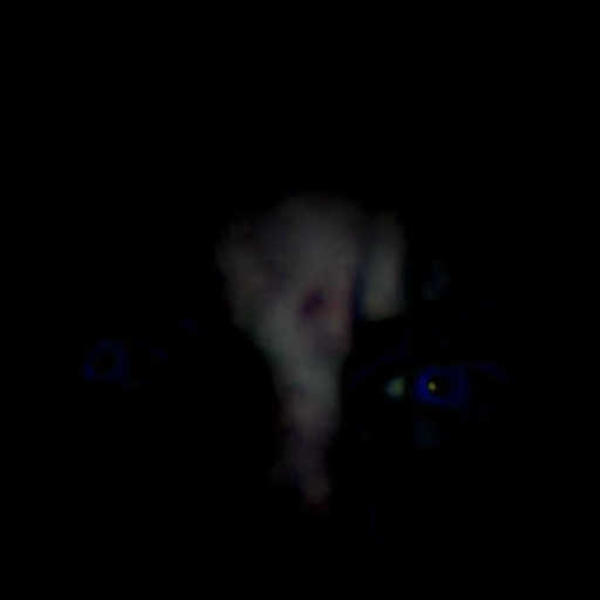 DEMON EYES